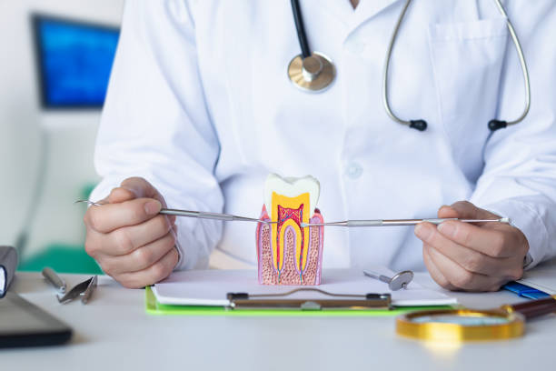 Best Emergency Dental Extractions in Scotts Valley, CA